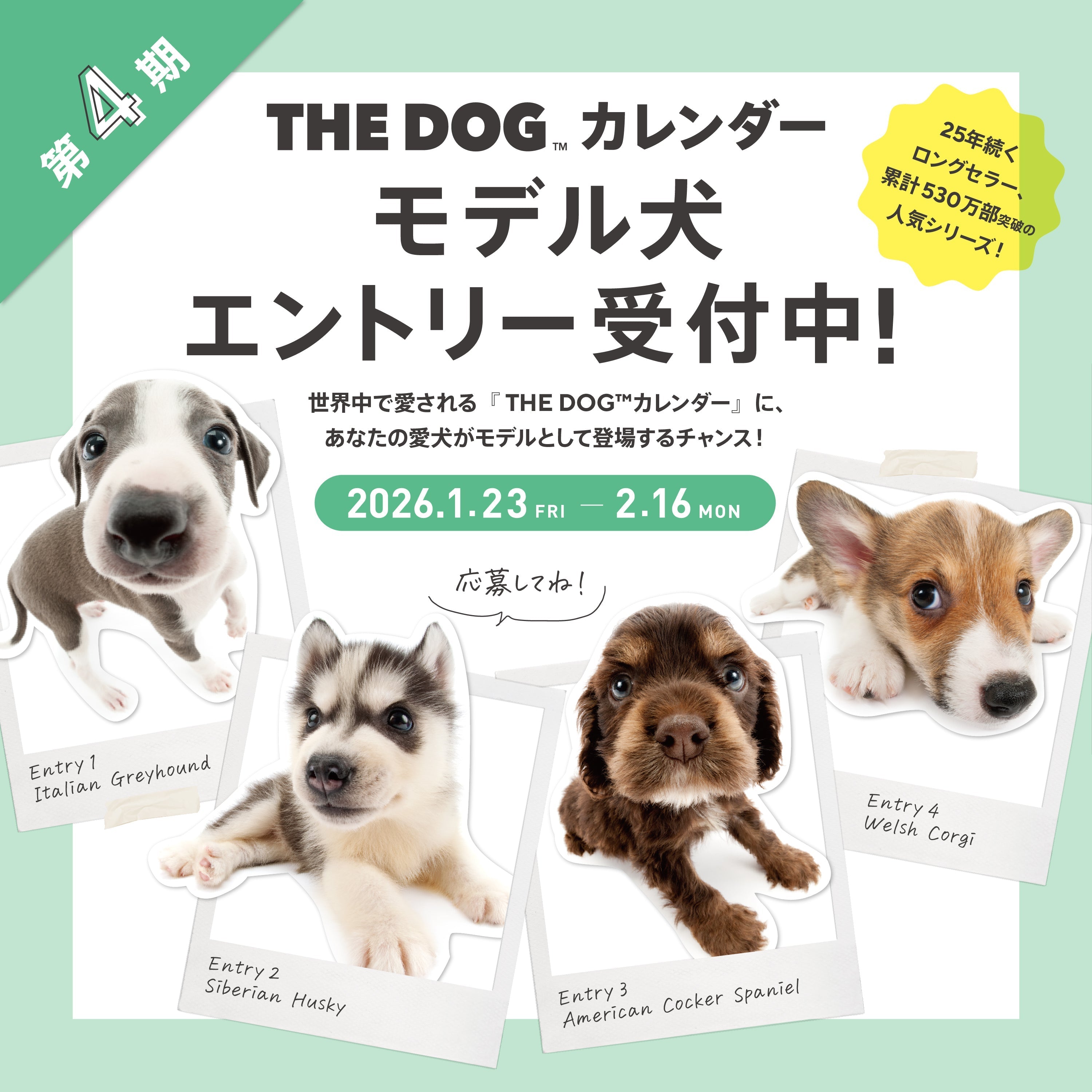 🐾✨【THE DOG™カレンダー】第4期モデル犬エントリー受付スタート