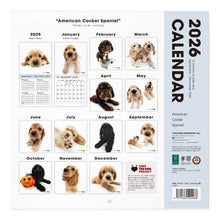 Lea la imagen en la vista de la galería, THE DOG 2026年カレンダー 大判サイズ(アメリカン・コッカー・スパニエル)