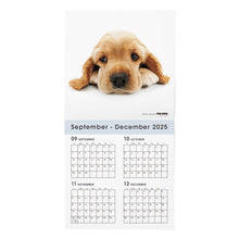 Lea la imagen en la vista de la galería, THE DOG 2026年カレンダー 大判サイズ(アメリカン・コッカー・スパニエル)