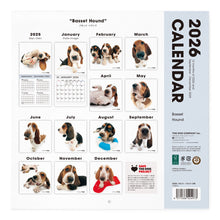 画像をギャラリービューアに読み込む, THE DOG 2026年カレンダー 大判サイズ(バセット・ハウンド)