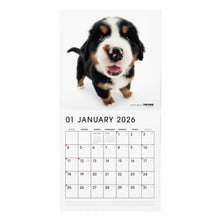 Lea la imagen en la vista de la galería, THE DOG 2026年カレンダー 大判サイズ(バーニーズ・マウンテン・ドッグ)