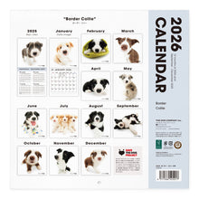 Lea la imagen en la vista de la galería, THE DOG 2026年カレンダー 大判サイズ(ボーダー・コリー)