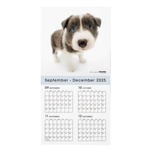 Lea la imagen en la vista de la galería, THE DOG 2026年カレンダー 大判サイズ(ボーダー・コリー)