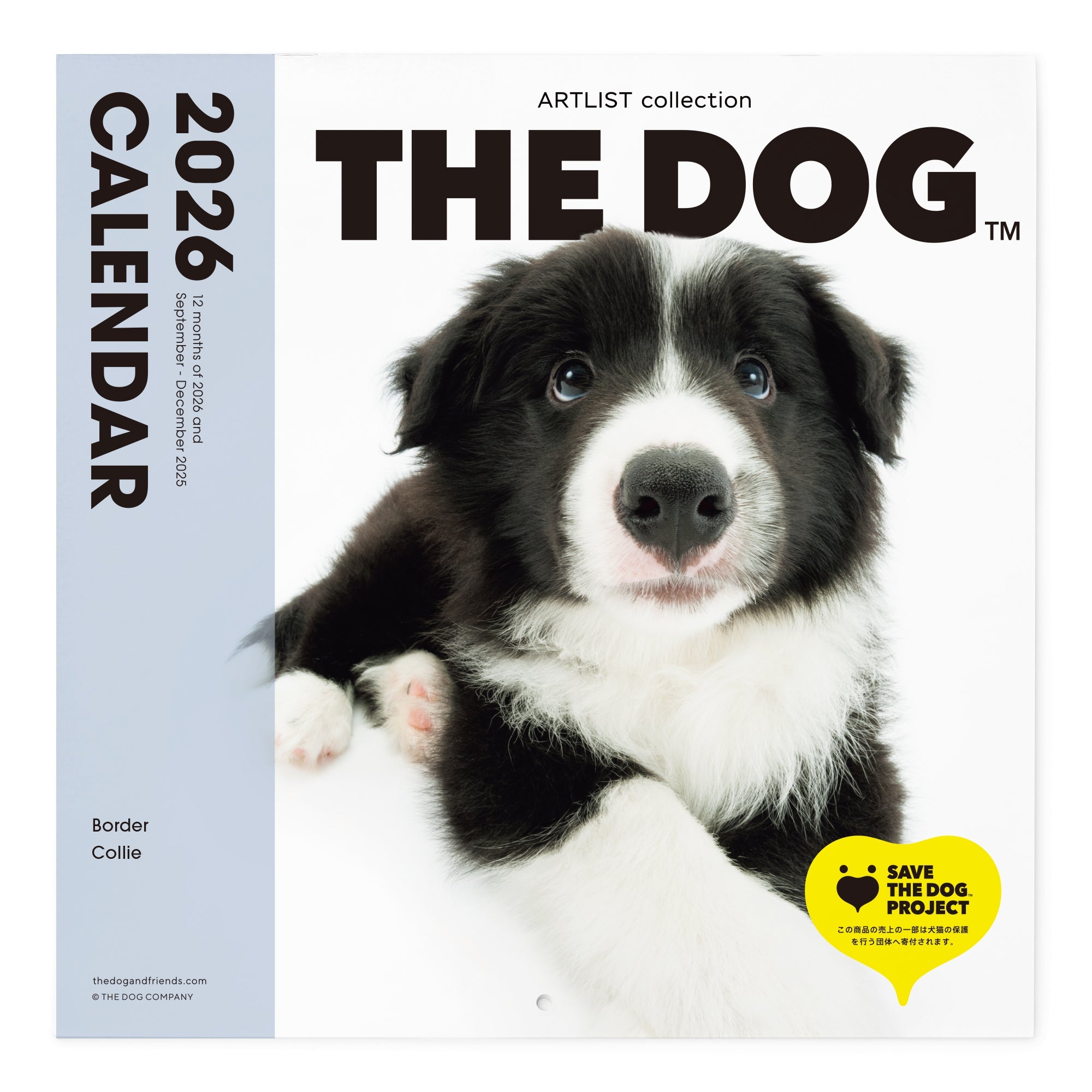 2026年（令和8年）壁掛けカレンダー（大判） ボーダー・コリー