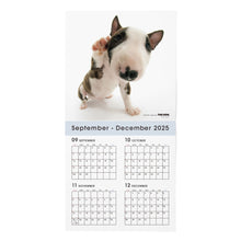 画像をギャラリービューアに読み込む, THE DOG 2026年カレンダー 大判サイズ(ブル・テリア)