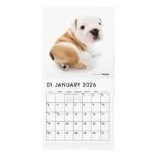 Lea la imagen en la vista de la galería, THE DOG 2026年カレンダー 大判サイズ(ブルドッグ)