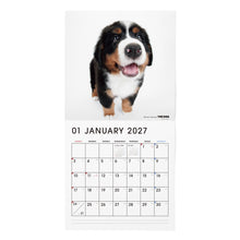 将图像阅读到画廊视图中, THE DOG 2027年カレンダー 大判サイズ(バーニーズ・マウンテン・ドッグ)の1月
