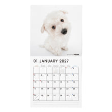 Lea la imagen en la vista de la galería, THE DOG 2027年カレンダー 大判サイズ(ビション・フリーゼ)の1月