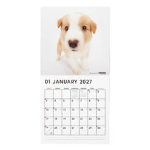 画像をギャラリービューアに読み込む, THE DOG 2027年カレンダー 大判サイズ(ボーダー・コリー)の1月