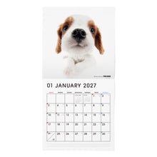 갤러리보기에 이미지를 읽고 THE DOG 2027年カレンダー 大判サイズ(キャバリア・キング・チャールズ・スパニエル)の1月