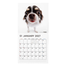 갤러리보기에 이미지를 읽고 THE DOG 2027年カレンダー 大判サイズ(チワワ)の1月