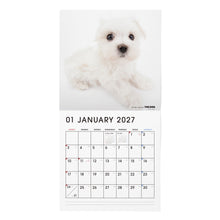 Lea la imagen en la vista de la galería, THE DOG 2027年カレンダー 大判サイズ(マルチーズ)の1月
