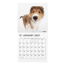 画像をギャラリービューアに読み込む, THE DOG 2027年カレンダー 大判サイズ(シェットランド・シープドッグ)の1月