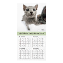 画像をギャラリービューアに読み込む, THE CAT 2027年カレンダー 大判サイズ(ロシアンブルー)の2026年部分