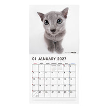 画像をギャラリービューアに読み込む, THE CAT 2027年カレンダー 大判サイズ(ロシアンブルー)の1月