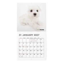 画像をギャラリービューアに読み込む, THE DOG 2027年カレンダー ミニサイズ(マルチーズ)の1月