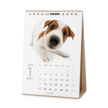 画像をギャラリービューアに読み込む, THE DOG 2027年カレンダー 卓上サイズ(ジャック・ラッセル・テリア)の1月