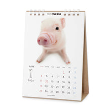 갤러리보기에 이미지를 읽고 THE PIG 2026年カレンダー 卓上サイズ