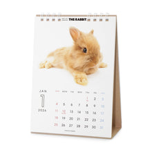 將圖像閱讀到畫廊視圖中, THE RABBIT 2026年カレンダー 卓上サイズ
