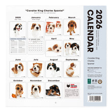 Lea la imagen en la vista de la galería, THE DOG 2026年カレンダー 大判サイズ(キャバリア・キング・チャールズ・スパニエル)