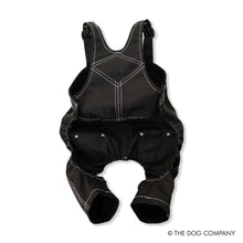 Lea la imagen en la vista de la galería, El perro de toros francés de perro × universal en general (negro)