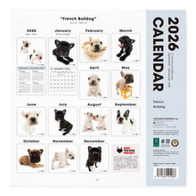 画像をギャラリービューアに読み込む, THE DOG 2026年カレンダー 大判サイズ(フレンチ・ブルドッグ)