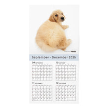 Lea la imagen en la vista de la galería, THE DOG 2026年カレンダー 大判サイズ(ゴールデン・レトリーバー)