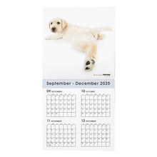 Lea la imagen en la vista de la galería, THE DOG 2026年カレンダー 大判サイズ(ラブラドール・レトリーバー)