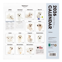 Lea la imagen en la vista de la galería, THE DOG 2026年カレンダー 大判サイズ(マルチーズ)
