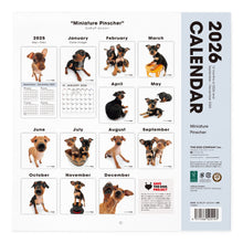画像をギャラリービューアに読み込む, THE DOG 2026年カレンダー 大判サイズ(ミニチュア・ピンシャー)