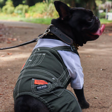 Lea la imagen en la vista de la galería, El perro × universal en general Burdog en general (caqui)