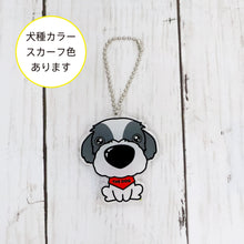 Read the image into the gallery view, THE DOG × THREEB key chain Shih Tzu