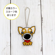 Read the image into the gallery view, THE DOG × THREEB Keychain Chihuahua
