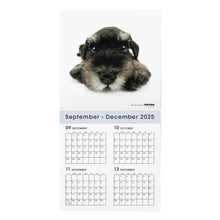 画像をギャラリービューアに読み込む, THE DOG 2026年カレンダー 大判サイズ(ミニチュア・シュナウザー)