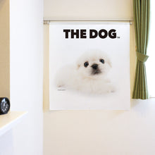 갤러리보기에 이미지를 읽고 Noren THE DOG 페키니즈(90cm길이)