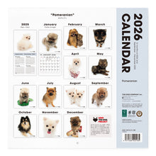 画像をギャラリービューアに読み込む, THE DOG 2026年カレンダー 大判サイズ(ポメラニアン)