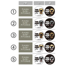 將圖像閱讀到畫廊視圖中, 狗×Thrimb零食美國可卡犬