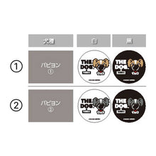 將圖像閱讀到畫廊視圖中, 狗×三b小吃papillon