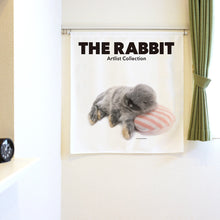갤러리보기에 이미지를 읽고 Noren THE RABBIT 토끼 2 (90cm 길이)