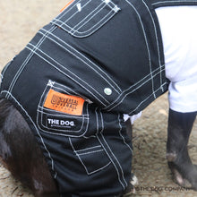 Lea la imagen en la vista de la galería, El perro de toros francés de perro × universal en general (negro)