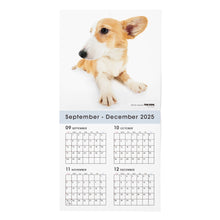 画像をギャラリービューアに読み込む, THE DOG 2026年カレンダー 大判サイズ(ウェルシュ・コーギー)