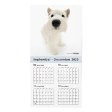 Lea la imagen en la vista de la galería, THE DOG 2026年カレンダー 大判サイズ(ウエスト・ハイランド・ホワイト・テリア)