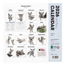 Lea la imagen en la vista de la galería, THE CAT 2026年カレンダー 大判サイズ (ロシアンブルー)