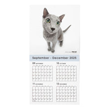 Lea la imagen en la vista de la galería, THE CAT 2026年カレンダー 大判サイズ (ロシアンブルー)
