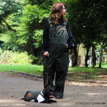 Lea la imagen en la vista de la galería, El perro de toros francés de perro × universal en general (negro)