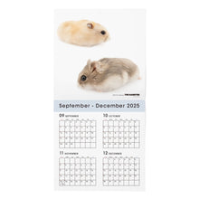 Lea la imagen en la vista de la galería, THE HAMSTER 2026年カレンダー 大判サイズ