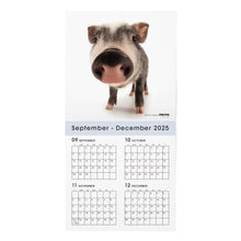 Lea la imagen en la vista de la galería, THE PIG 2026年カレンダー 大判サイズ