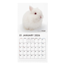 Lea la imagen en la vista de la galería, THE RABBIT 2026年カレンダー 大判サイズ