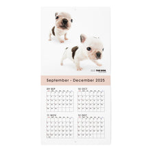 画像をギャラリービューアに読み込む, THE DOG 2026年カレンダー ミニサイズ(フレンチ・ブルドッグ)