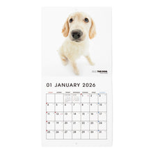 Lea la imagen en la vista de la galería, THE DOG 2026年カレンダー ミニサイズ(ゴールデン・レトリーバー)